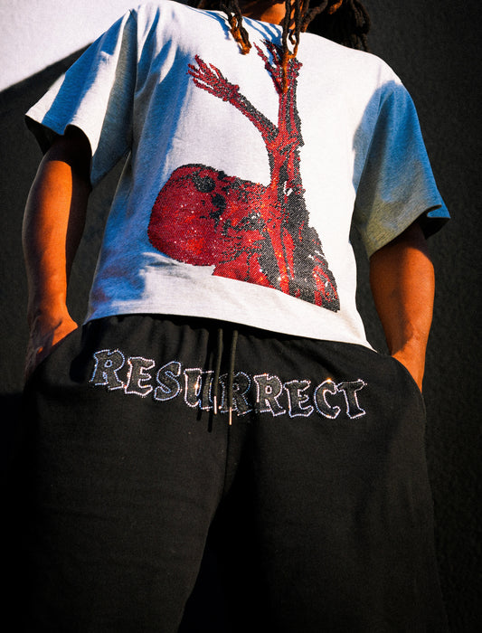 Resurrect red rhinestone