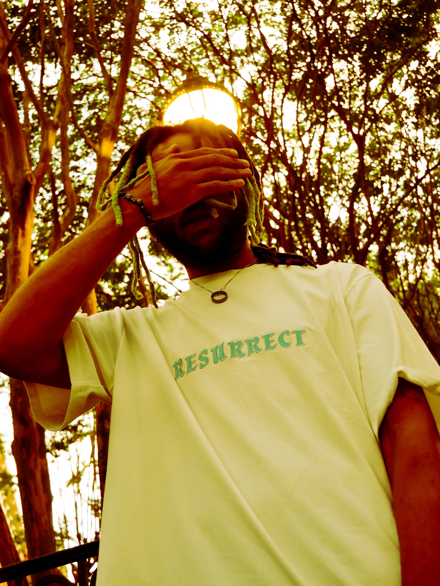 Resurrect Aura Heart